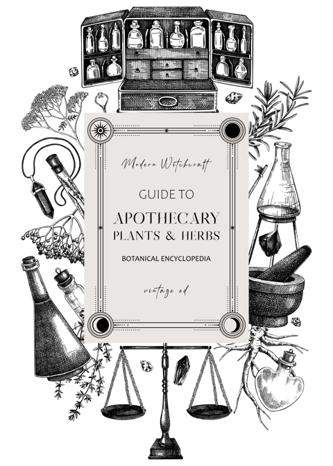 Antique apothecary hand-drawn vector illustrations. Alchemy sketches. Vintage chemistry frame, banner, card, flyer design. NOT AI generated